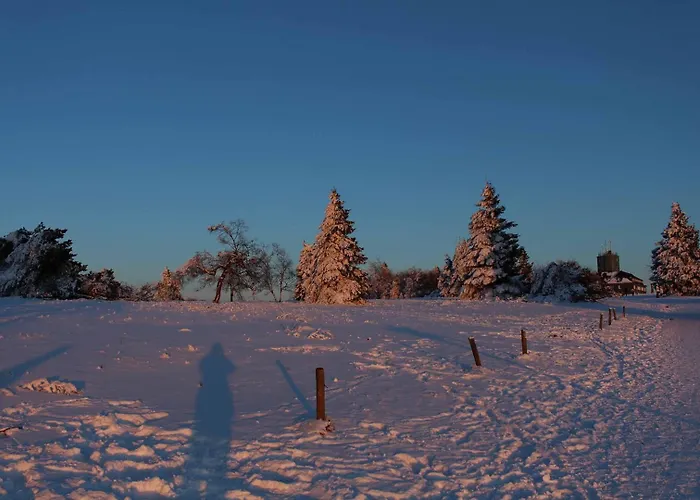 Haus Nadja Apartment Winterberg